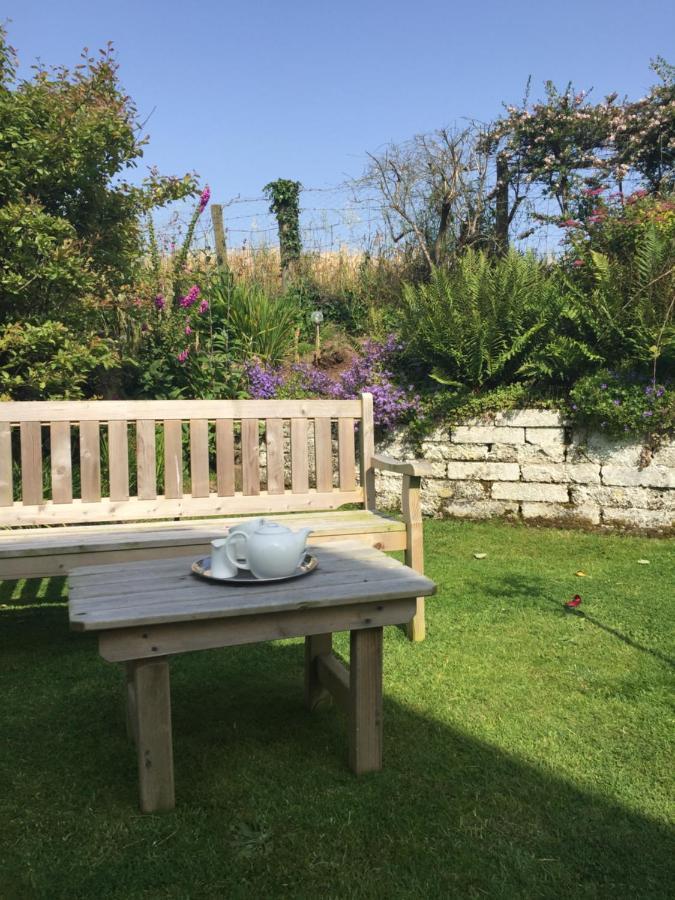 Ramsey House - Luxury Licensed B&B - Parking And Guest Lounge St. Davids  Exterior foto
