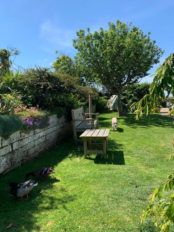 Ramsey House - Luxury Licensed B&B - Parking And Guest Lounge St. Davids  Exterior foto